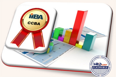 iiBA Business Analysis Professional Certification Preparatory Course (CCBA®)/(CBAP®)