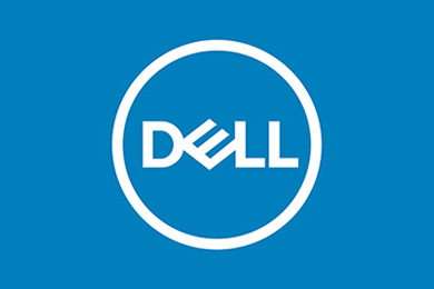 Dell Appointees